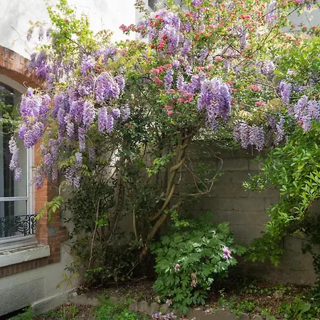 Bains Callou Situee Face Aux Thermes Διαμέρισμα Βισύ