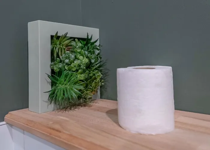 Apartment Bains Callou Situee Face Aux Thermes Vichy