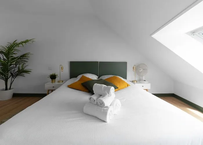 Apartment Bains Callou Situee Face Aux Thermes Vichy