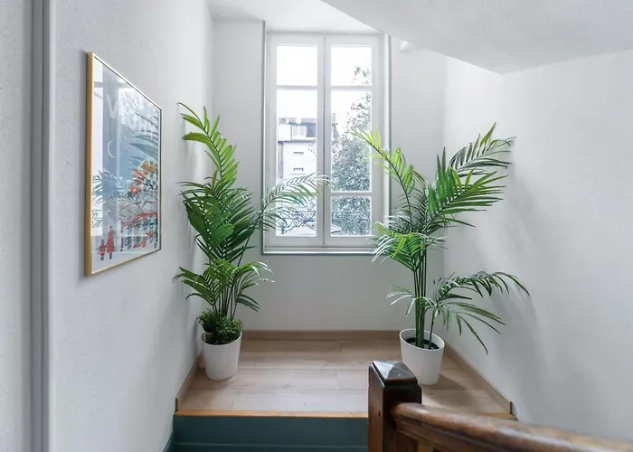 Bains Callou Situee Face Aux Thermes Vichy